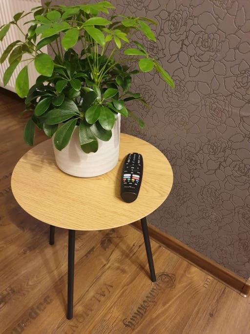 Zen By Downtown Apartments Targu-Mures Bagian luar foto