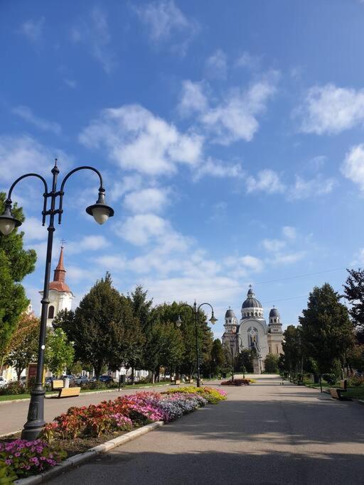 Zen By Downtown Apartments Targu-Mures Bagian luar foto