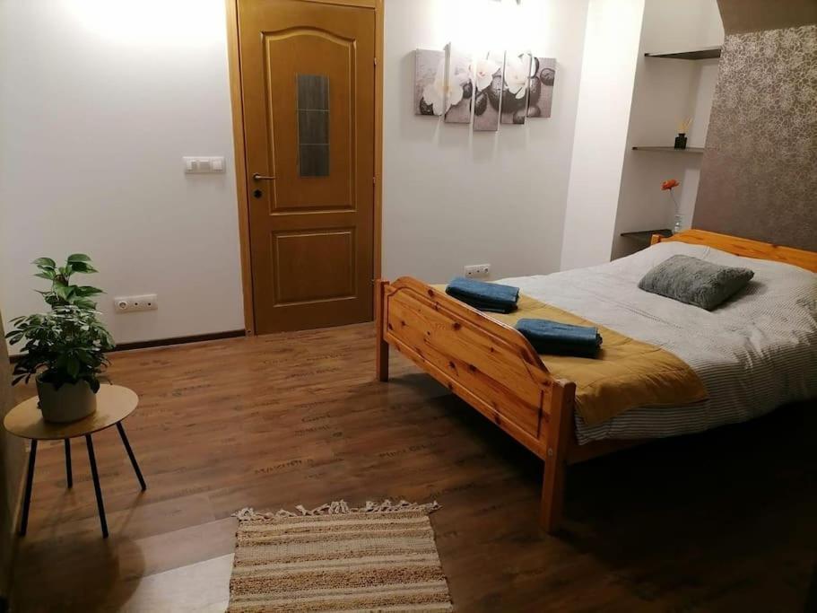 Zen By Downtown Apartments Targu-Mures Bagian luar foto